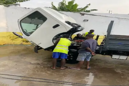 Produtos de Ornamentação